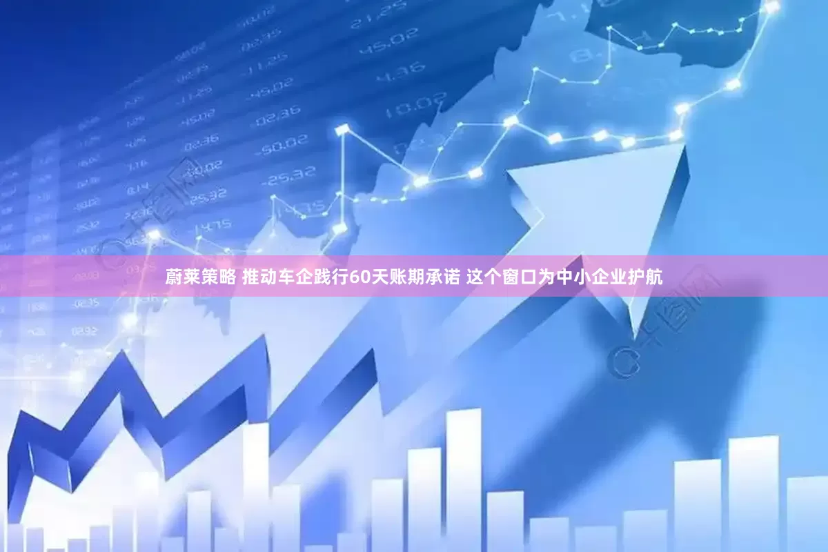 蔚莱策略 推动车企践行60天账期承诺 这个窗口为中小企业护航