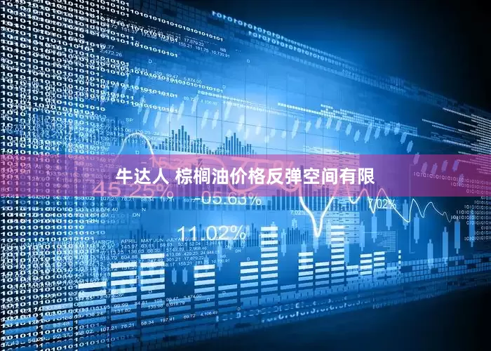 牛达人 棕榈油价格反弹空间有限